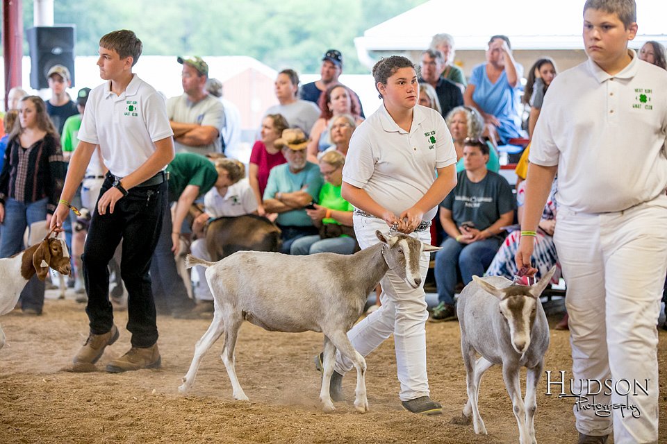 LCFAIR-081318-1626.jpg