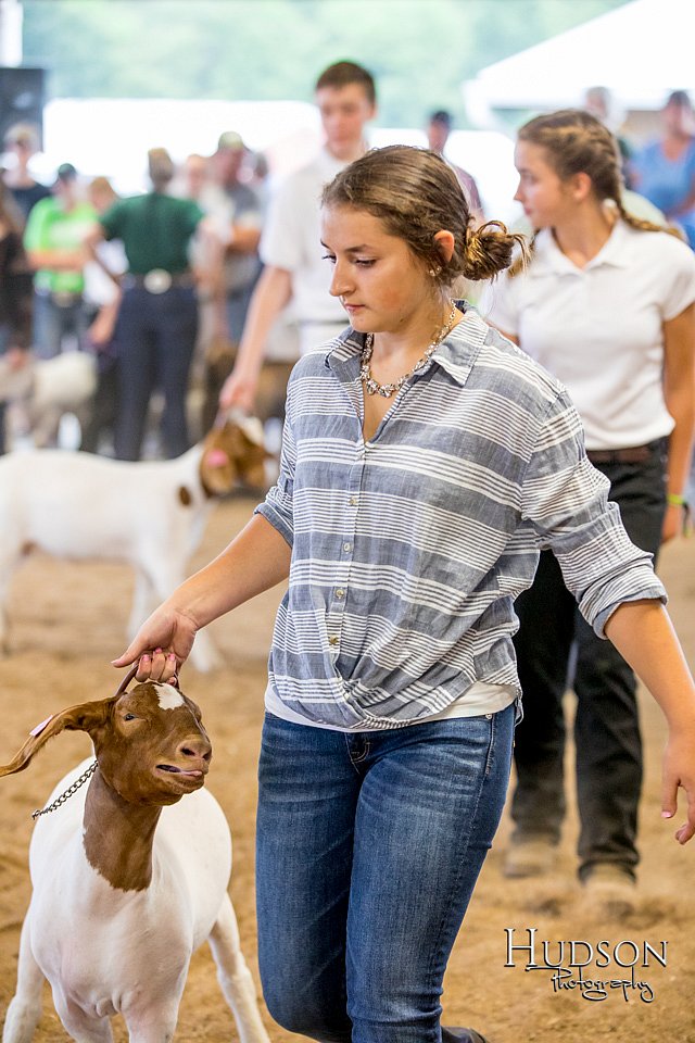 LCFAIR-081318-1629.jpg
