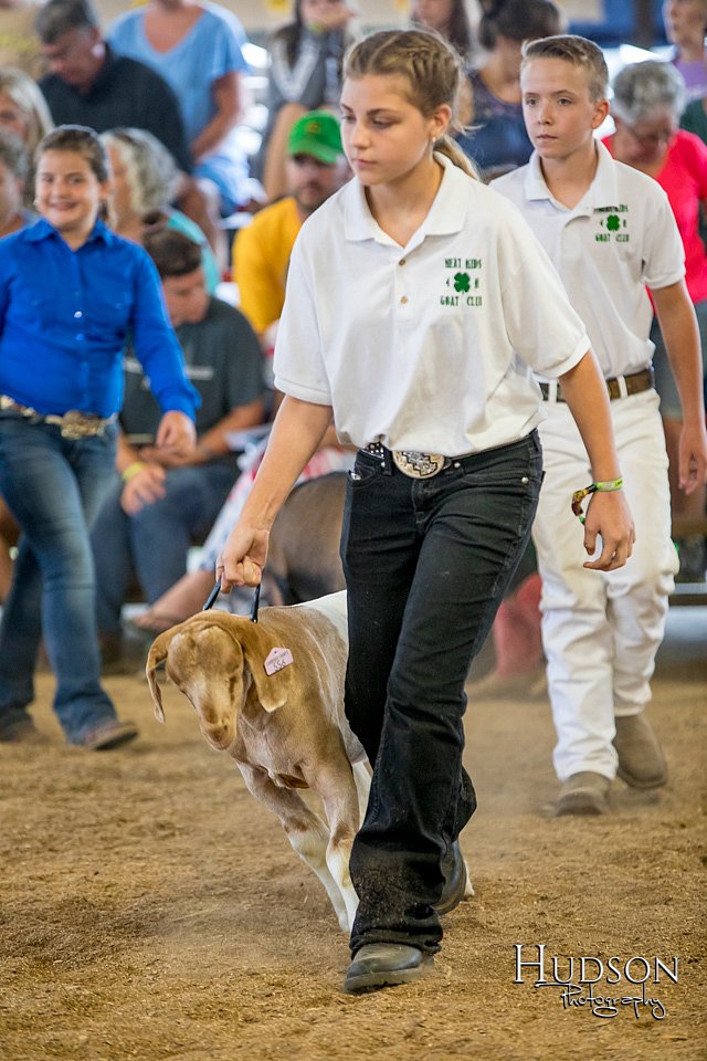 LCFAIR-081318-1647.jpg