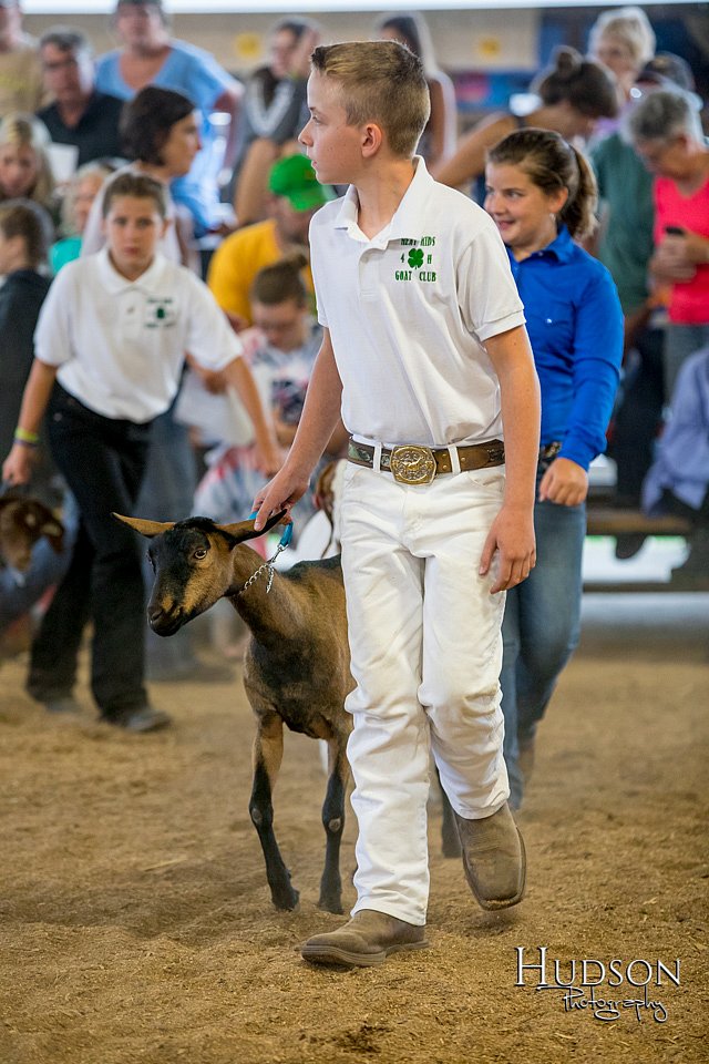 LCFAIR-081318-1649.jpg