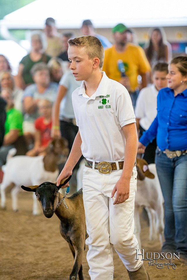 LCFAIR-081318-1650.jpg