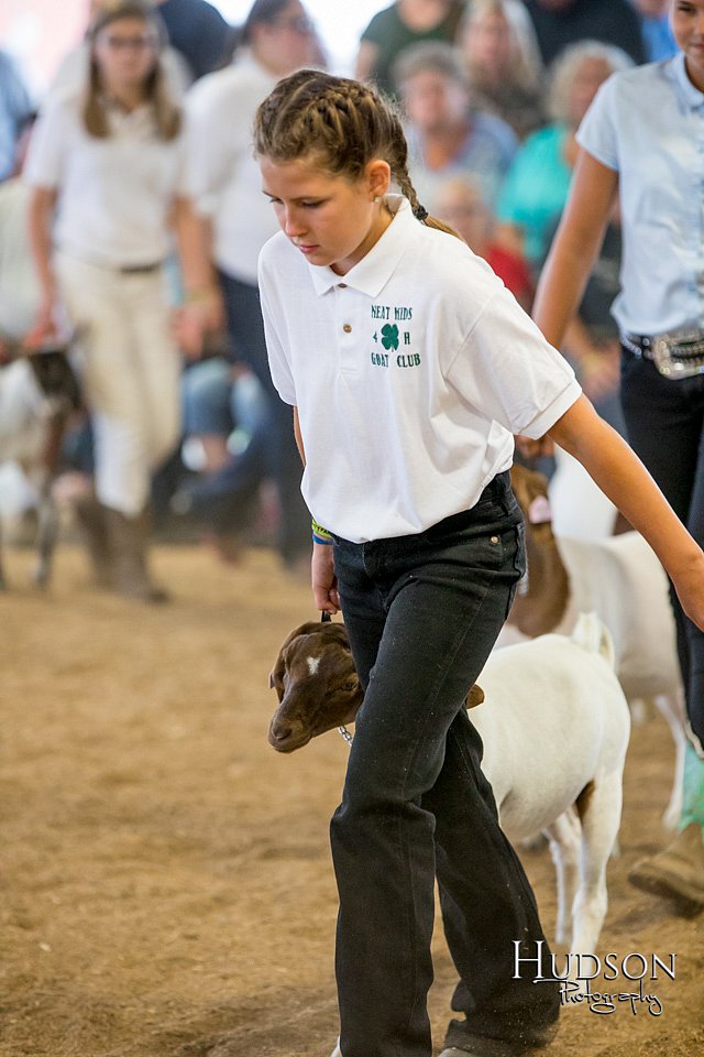 LCFAIR-081318-1654.jpg
