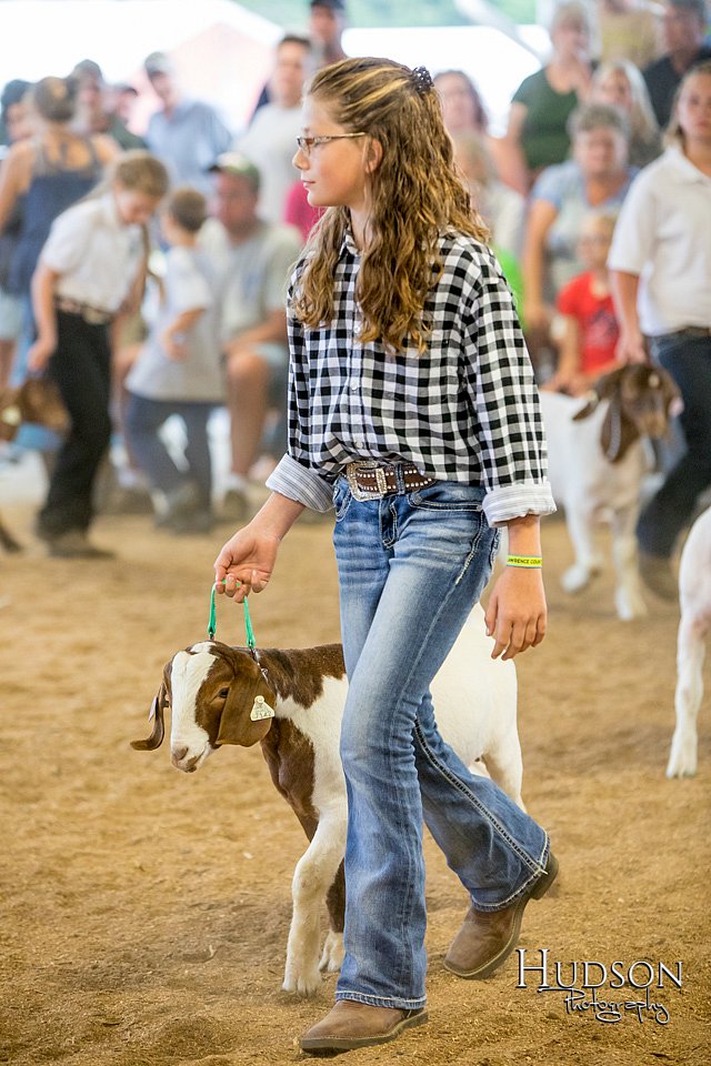 LCFAIR-081318-1659.jpg