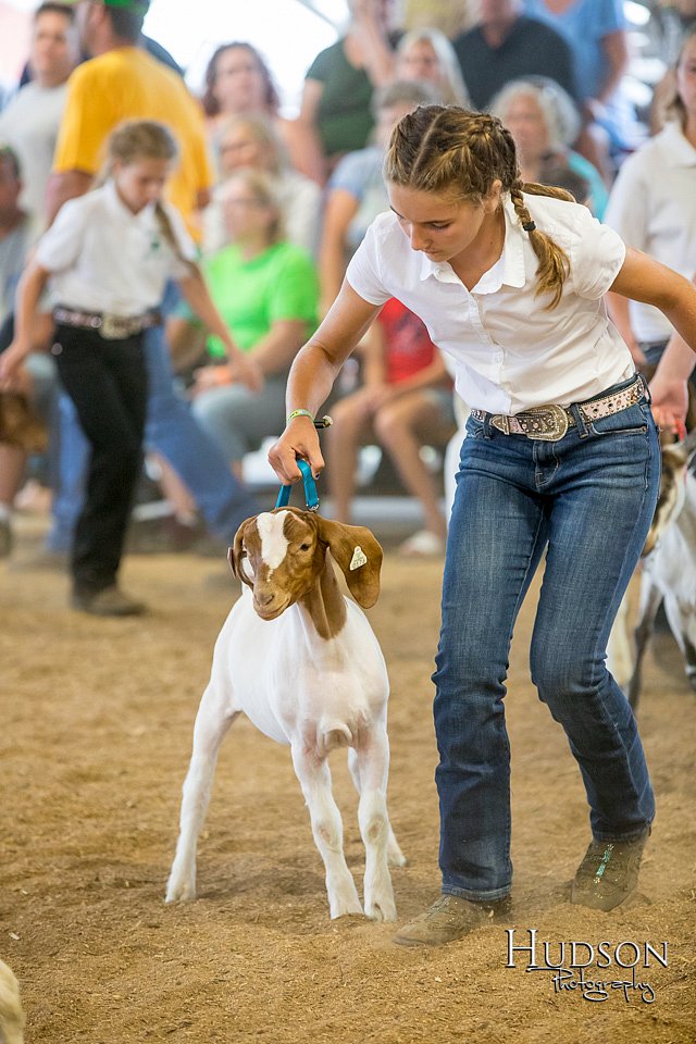 LCFAIR-081318-1660.jpg