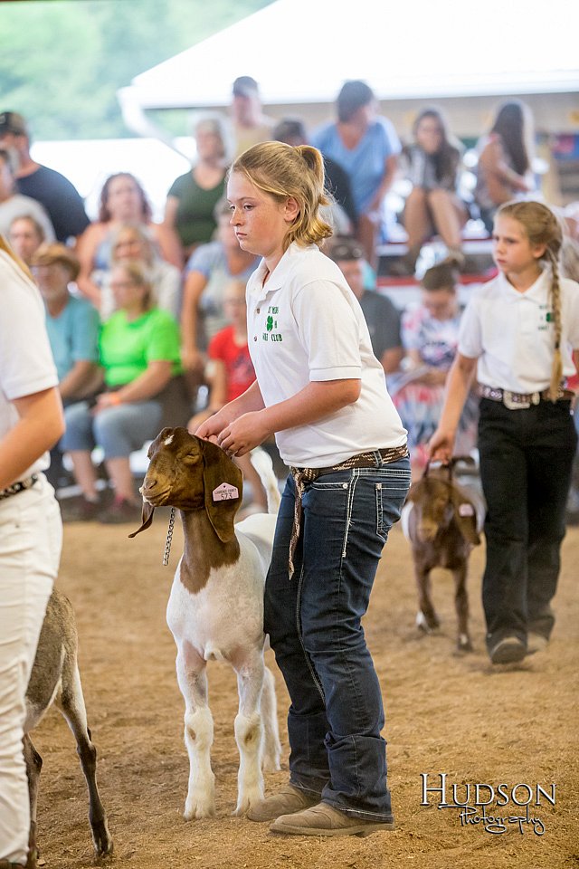 LCFAIR-081318-1665.jpg