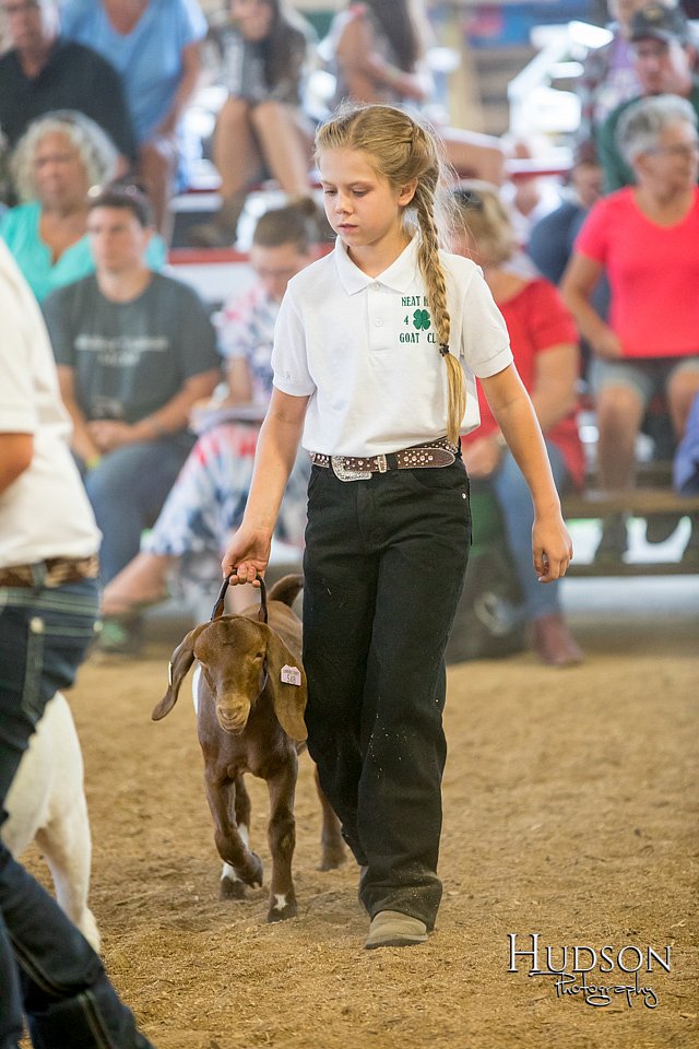 LCFAIR-081318-1666.jpg