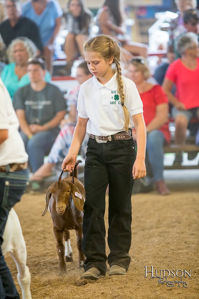 LCFAIR-081318-1667.jpg