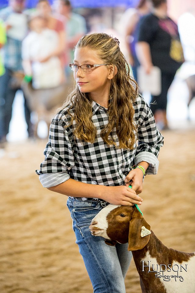 LCFAIR-081318-1673.jpg