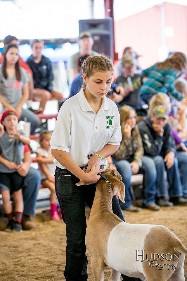 LCFAIR-081318-1682.jpg
