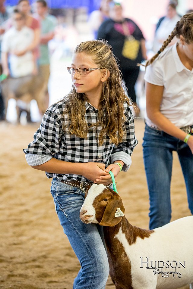 LCFAIR-081318-1686.jpg