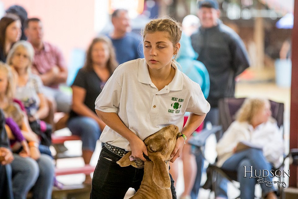 LCFAIR-081318-1696.jpg