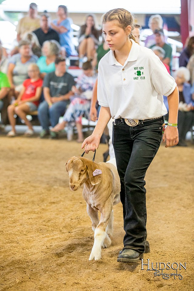 LCFAIR-081318-1704.jpg