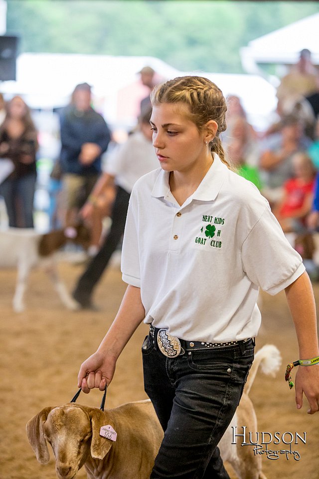 LCFAIR-081318-1705.jpg