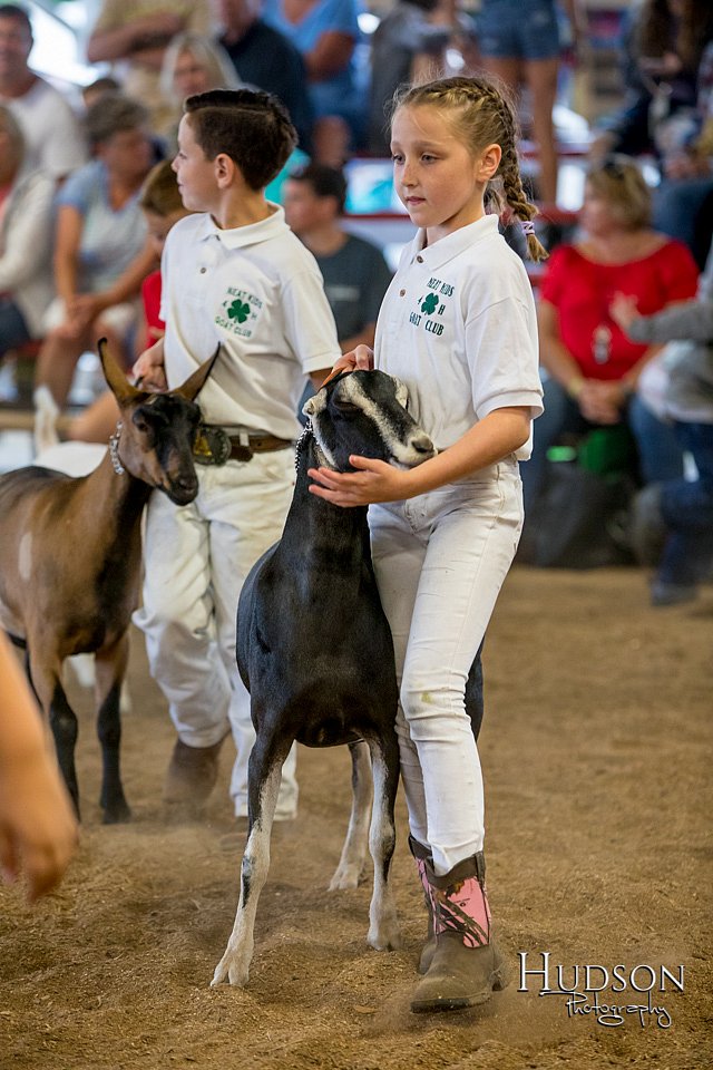 LCFAIR-081318-1751.jpg
