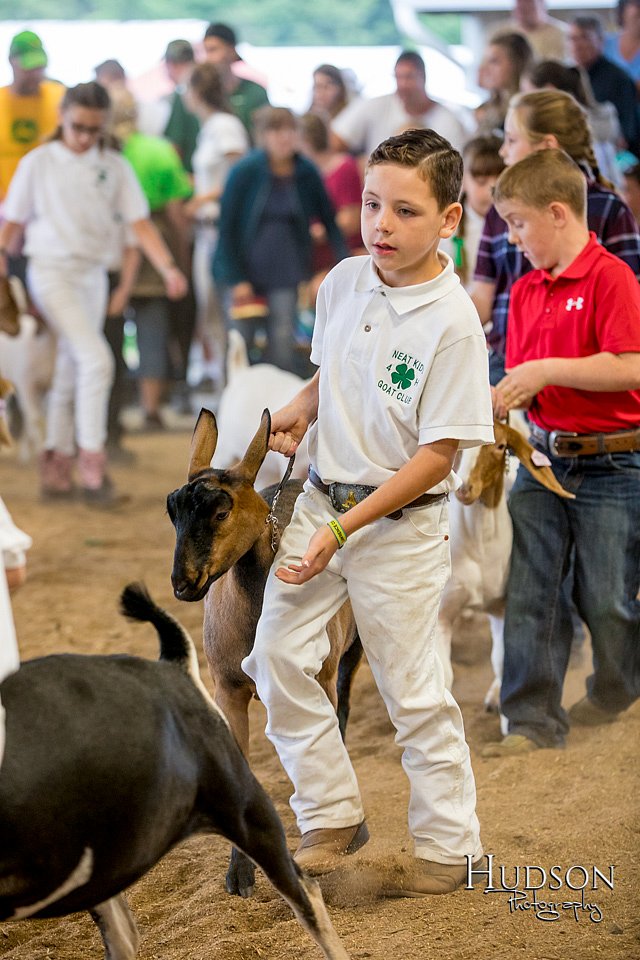 LCFAIR-081318-1753.jpg