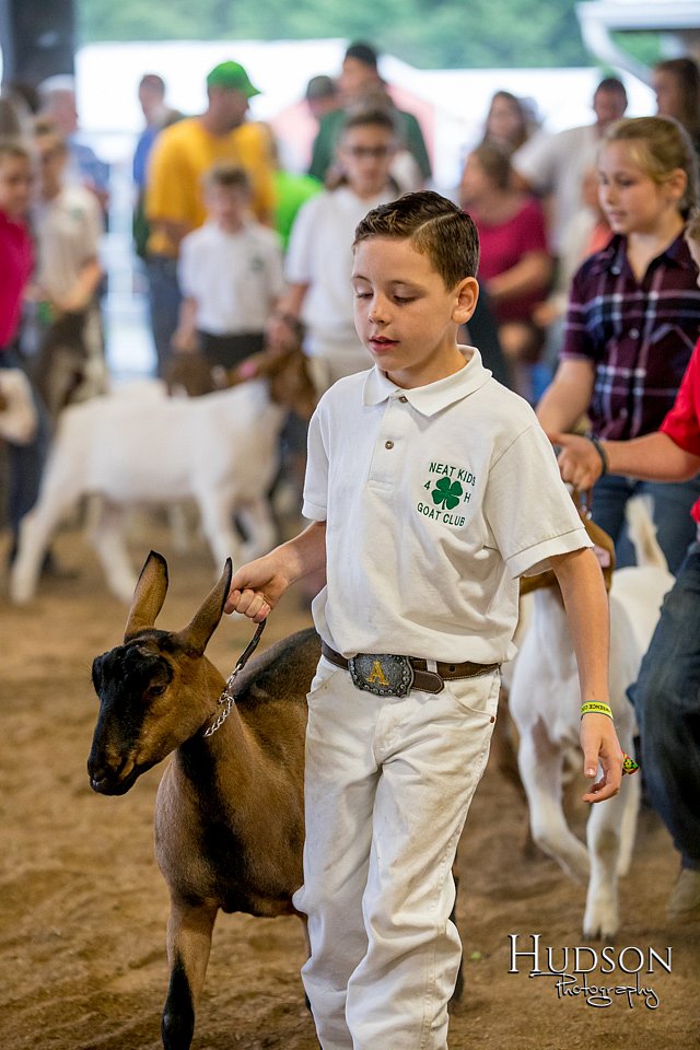 LCFAIR-081318-1754.jpg