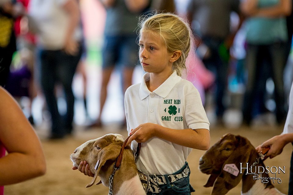 LCFAIR-081318-1808.jpg