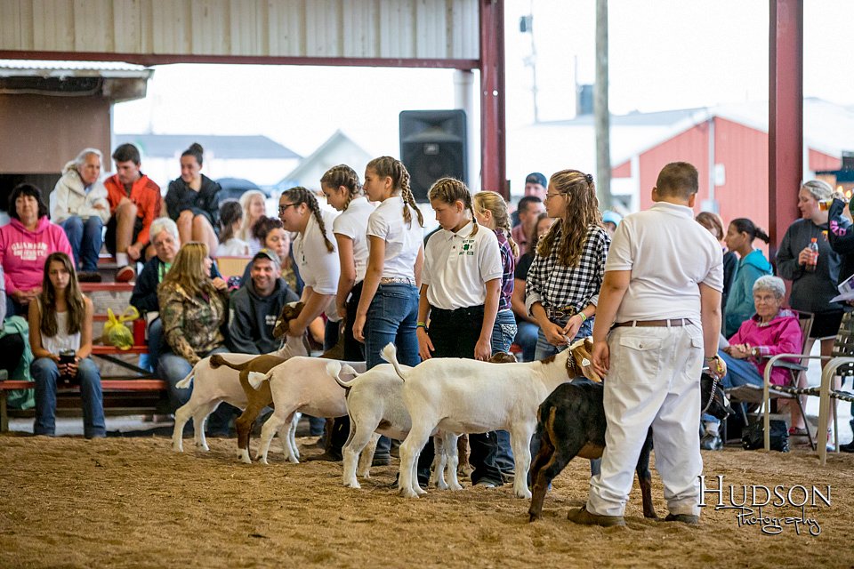 LCFAIR-081318-1902.jpg
