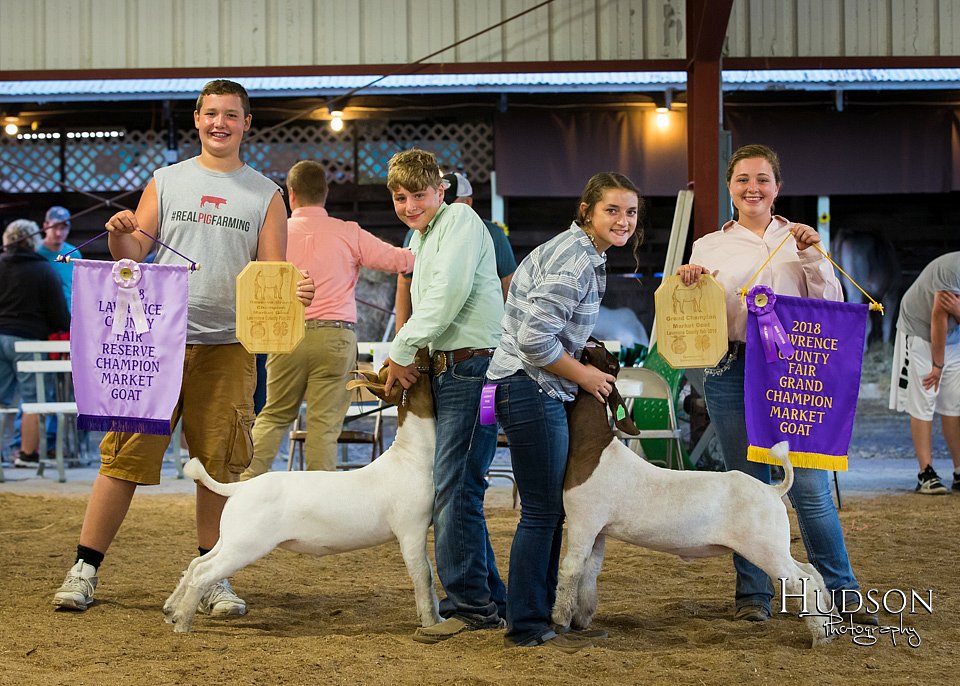 LCFAIR-081318-2037.jpg