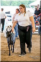 LCFAIR-081318-1484.jpg
