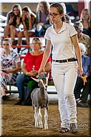 LCFAIR-081318-1494.jpg