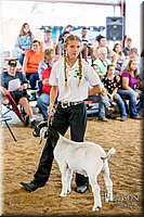 LCFAIR-081318-1514.jpg