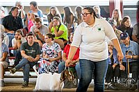 LCFAIR-081318-1548.jpg