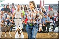 LCFAIR-081318-1550.jpg