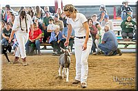 LCFAIR-081318-1551.jpg
