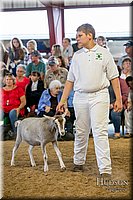 LCFAIR-081318-1586.jpg