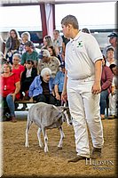 LCFAIR-081318-1587.jpg