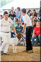 LCFAIR-081318-1588.jpg