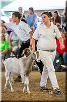 LCFAIR-081318-1589.jpg
