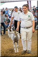 LCFAIR-081318-1591.jpg