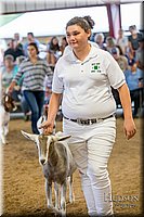 LCFAIR-081318-1592.jpg