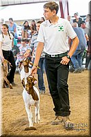 LCFAIR-081318-1593.jpg