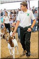 LCFAIR-081318-1594.jpg