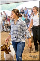 LCFAIR-081318-1597.jpg