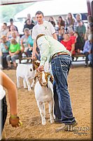 LCFAIR-081318-1600.jpg