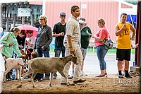 LCFAIR-081318-1607.jpg