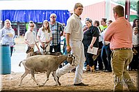 LCFAIR-081318-1608.jpg