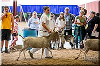 LCFAIR-081318-1609.jpg