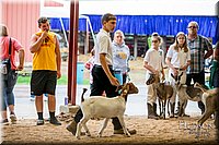 LCFAIR-081318-1610.jpg