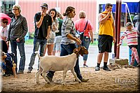 LCFAIR-081318-1611.jpg