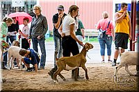 LCFAIR-081318-1612.jpg