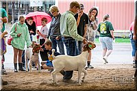 LCFAIR-081318-1613.jpg