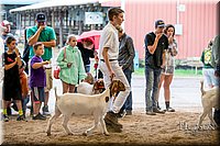 LCFAIR-081318-1614.jpg