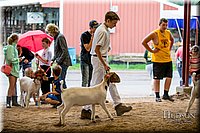 LCFAIR-081318-1615.jpg
