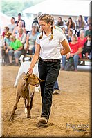 LCFAIR-081318-1616.jpg
