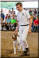 LCFAIR-081318-1618.jpg